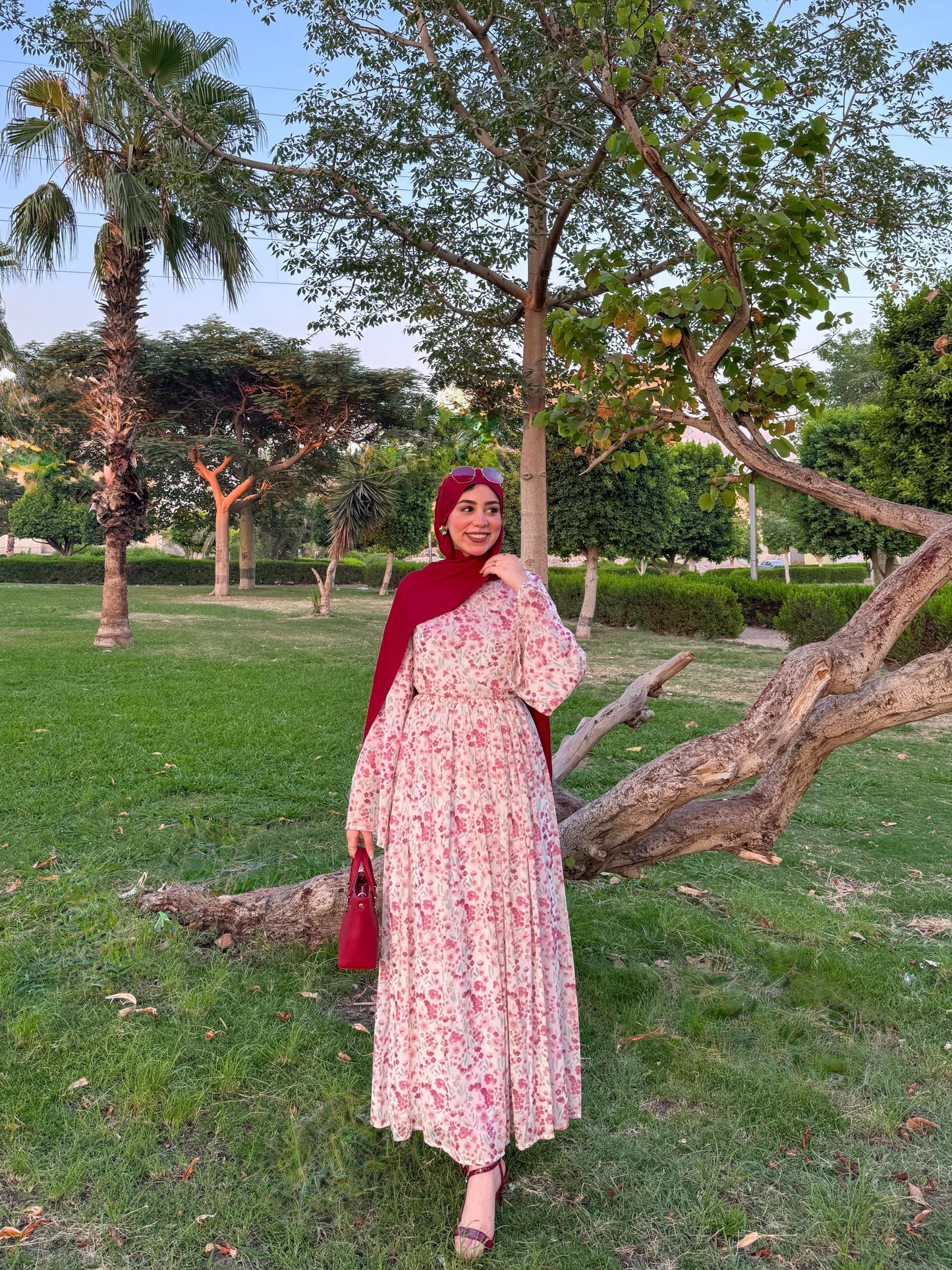 Azha Dress