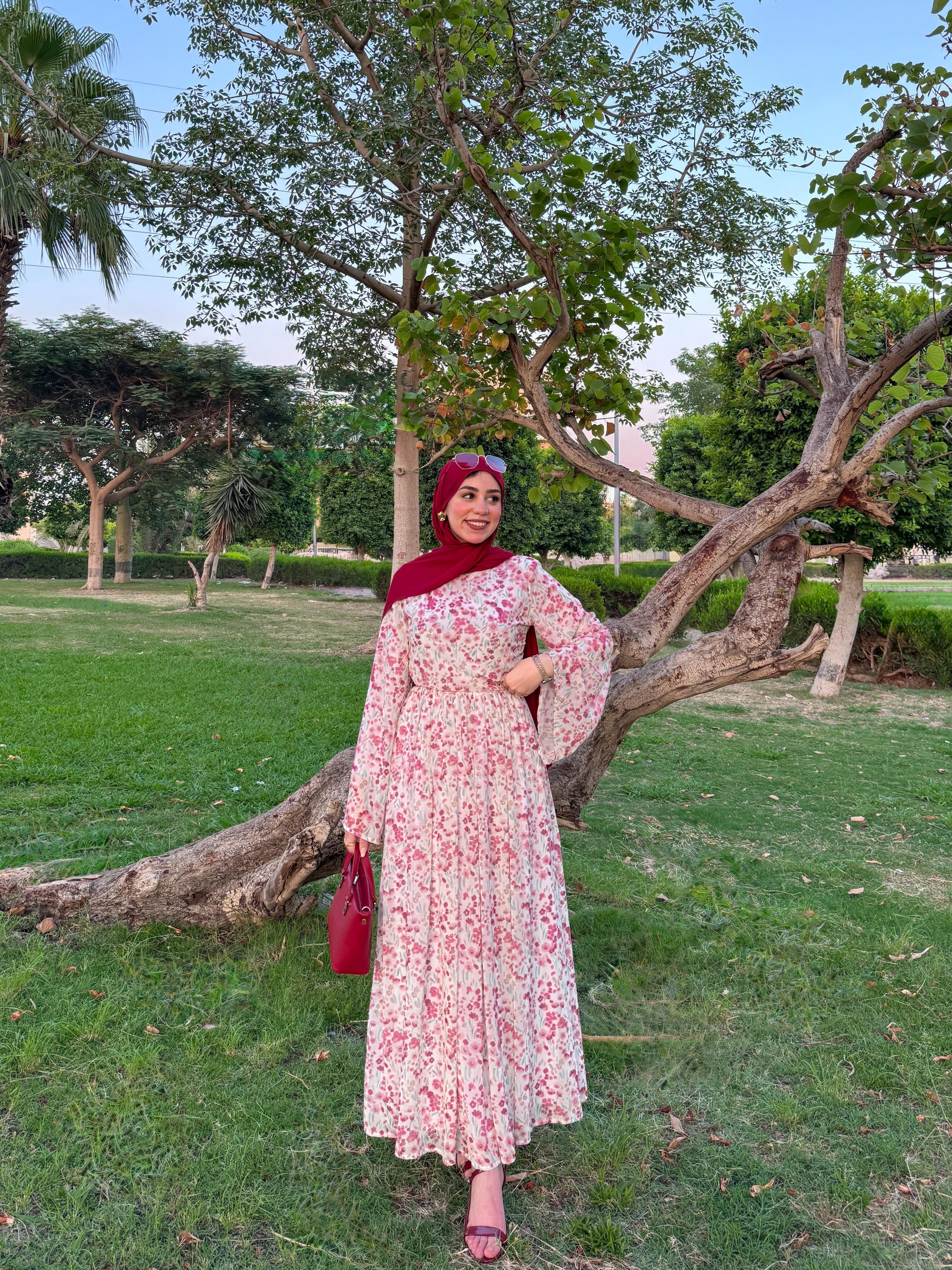 Azha Dress