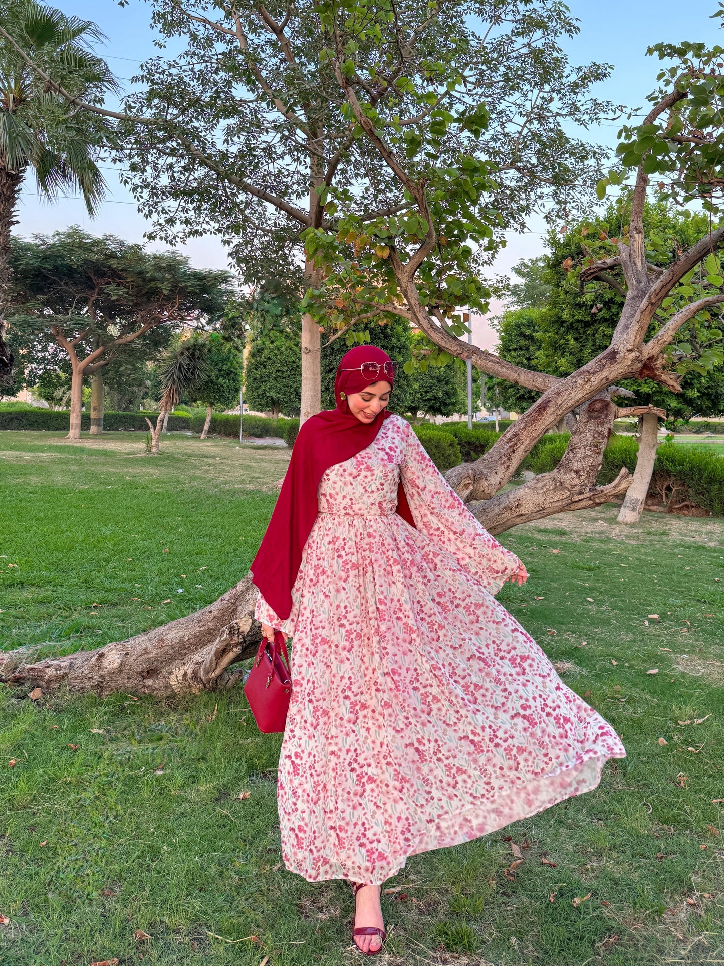 Azha Dress