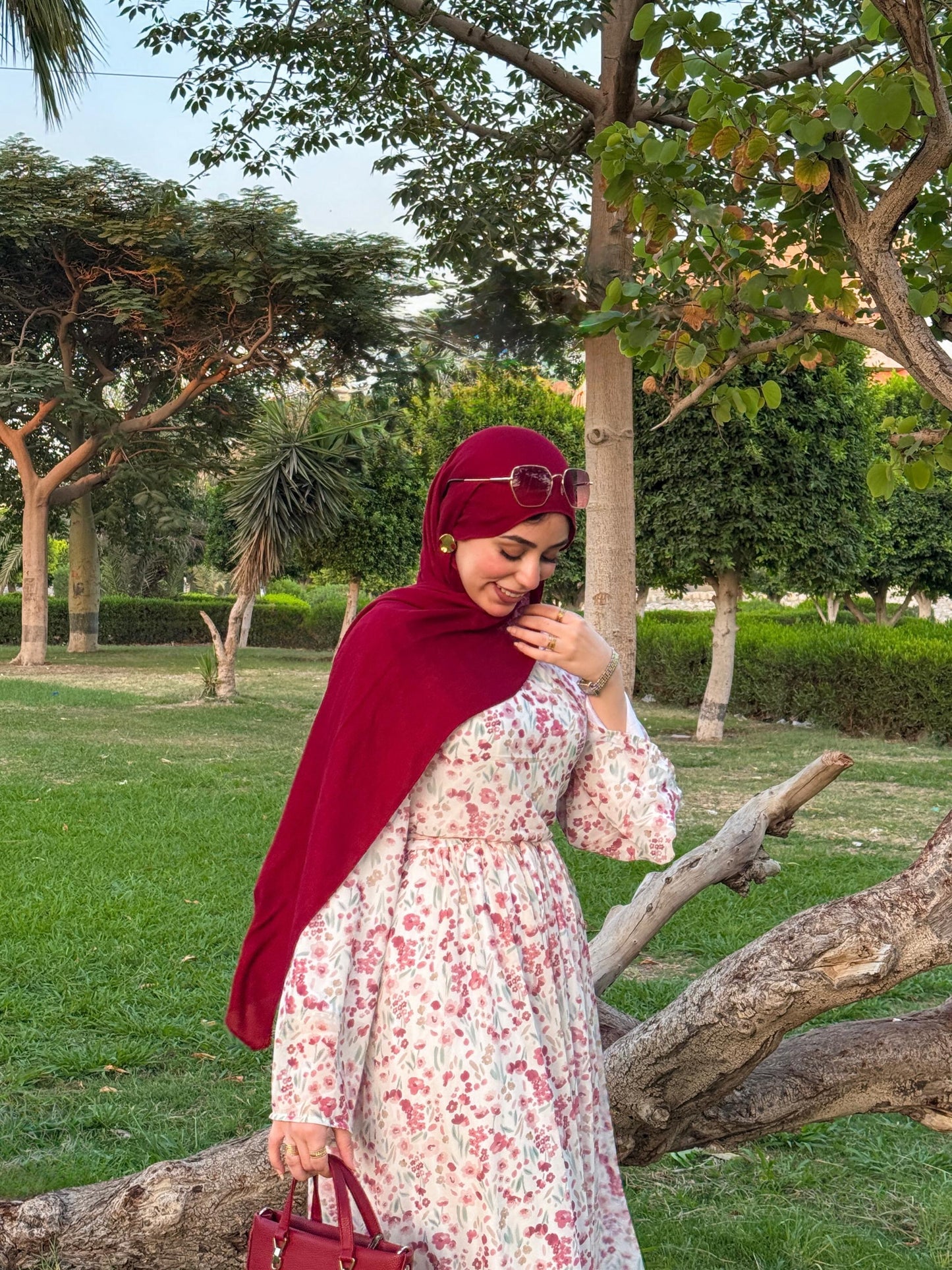 Azha Dress