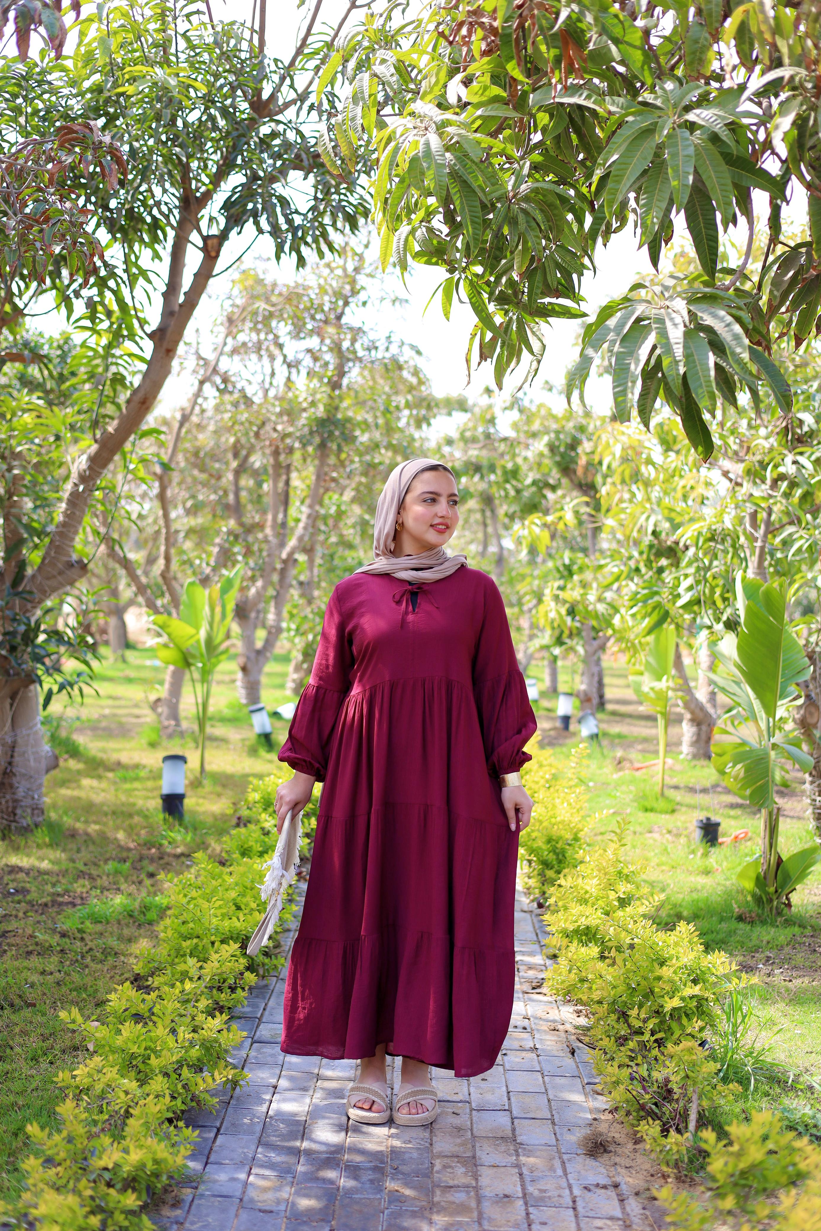 Dalila Burgundy Dress